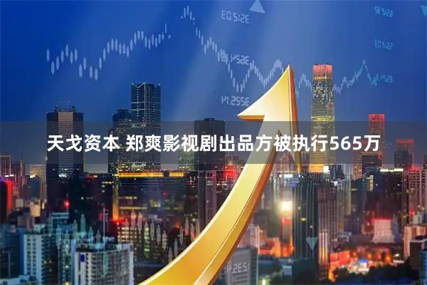天戈资本 郑爽影视剧出品方被执行565万