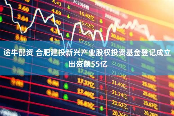 途牛配资 合肥建投新兴产业股权投资基金登记成立 出资额55亿