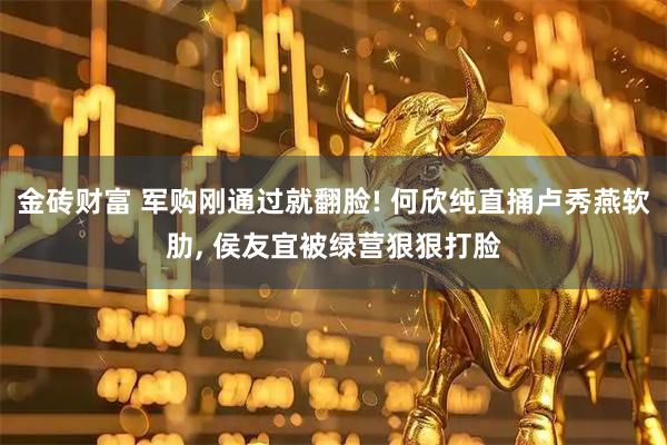 金砖财富 军购刚通过就翻脸! 何欣纯直捅卢秀燕软肋, 侯友宜被绿营狠狠打脸