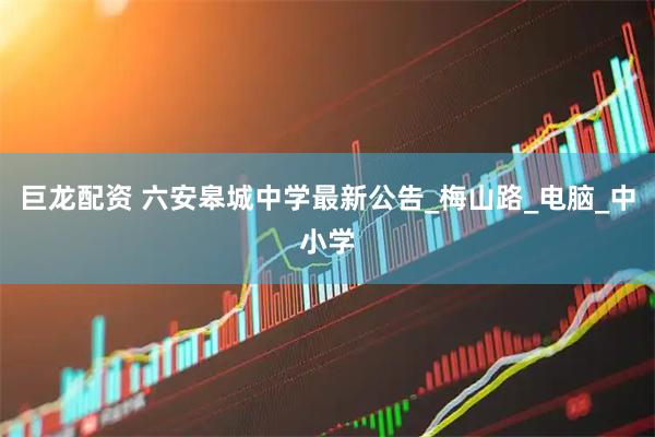 巨龙配资 六安皋城中学最新公告_梅山路_电脑_中小学