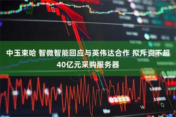 中玉束哈 智微智能回应与英伟达合作 拟斥资不超40亿元采购服务器