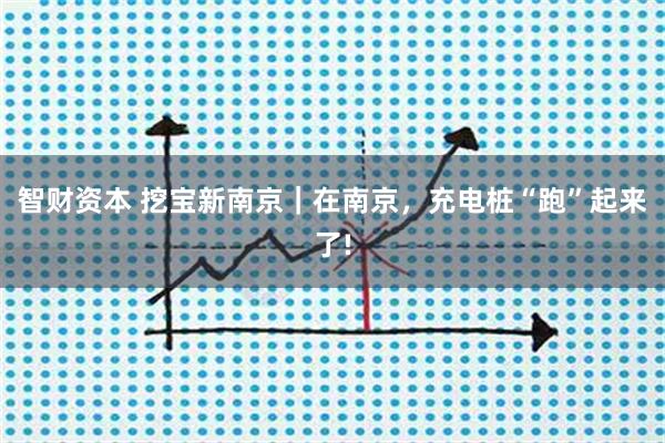 智财资本 挖宝新南京｜在南京，充电桩“跑”起来了!