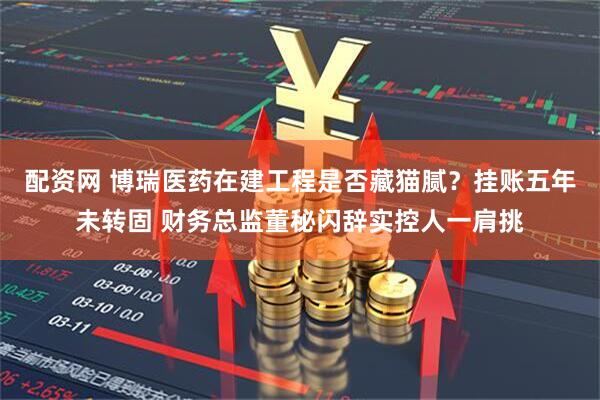 配资网 博瑞医药在建工程是否藏猫腻？挂账五年未转固 财务总监董秘闪辞实控人一肩挑